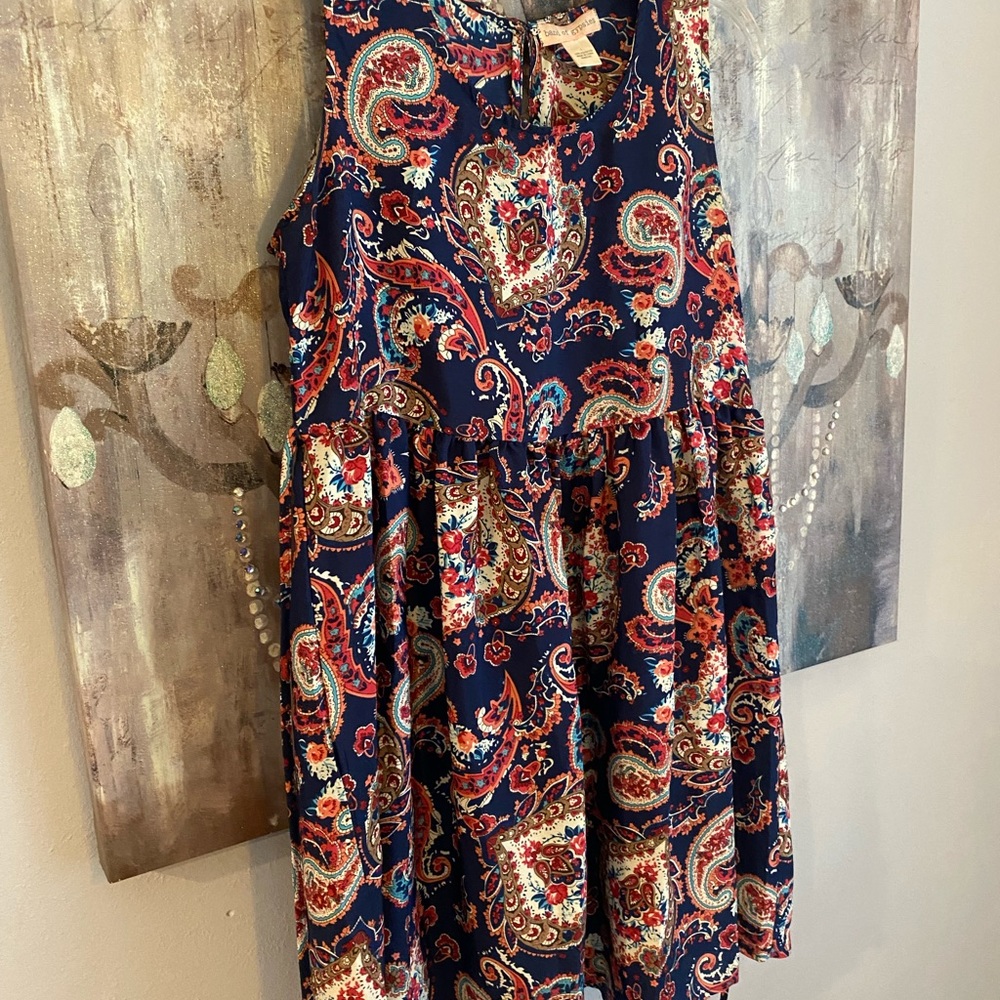 Band of Gypsies EUC Full Skirted Mini - Picture 4 of 8